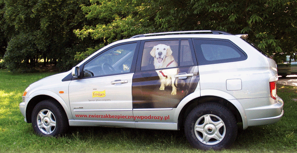 ZWIERZAK W PODRÓŻY | Proste zasady przewożenia domowych zwierząt samochodem
