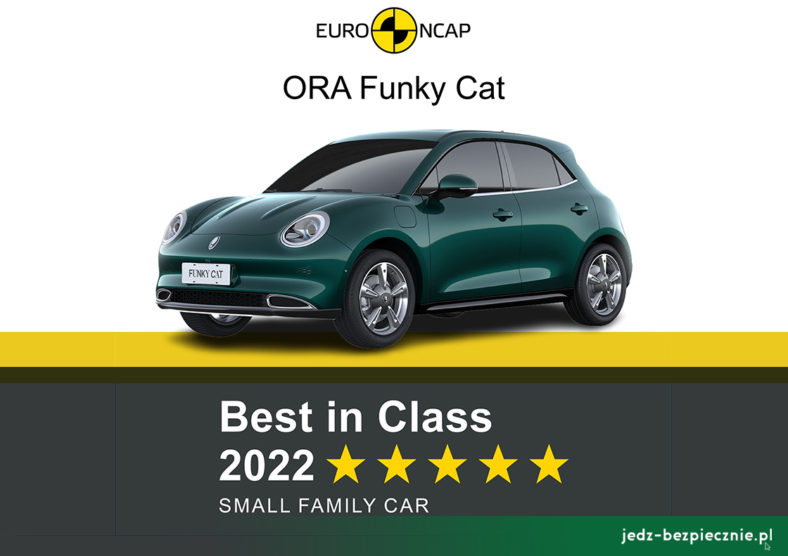 TESTY ZDERZENIOWE EURO NCAP | Best in Class 2022 - ORA Funky Cat
